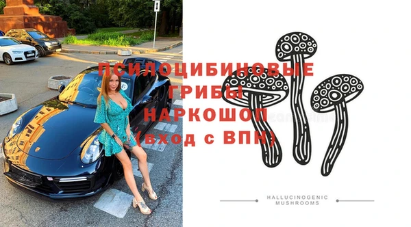 прущий лед Алексин
