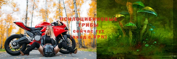 прущий лед Алексин