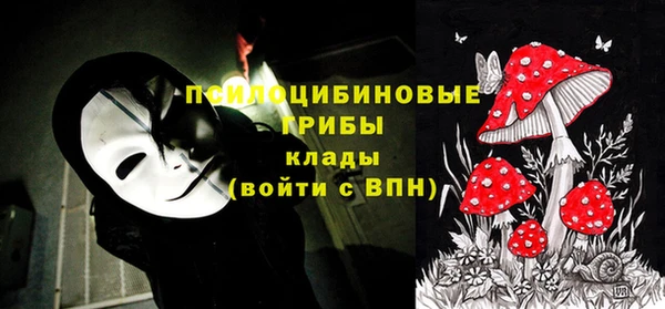 прущий лед Алексин