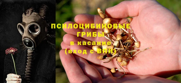 прущий лед Алексин