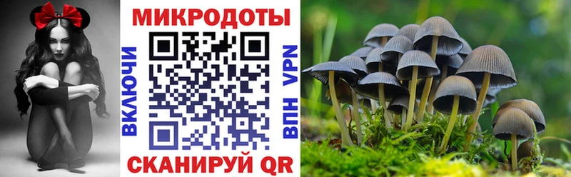 Галлюциногенные грибы Magic Shrooms  где продают   Бронницы 