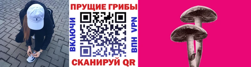 Псилоцибиновые грибы GOLDEN TEACHER Бронницы
